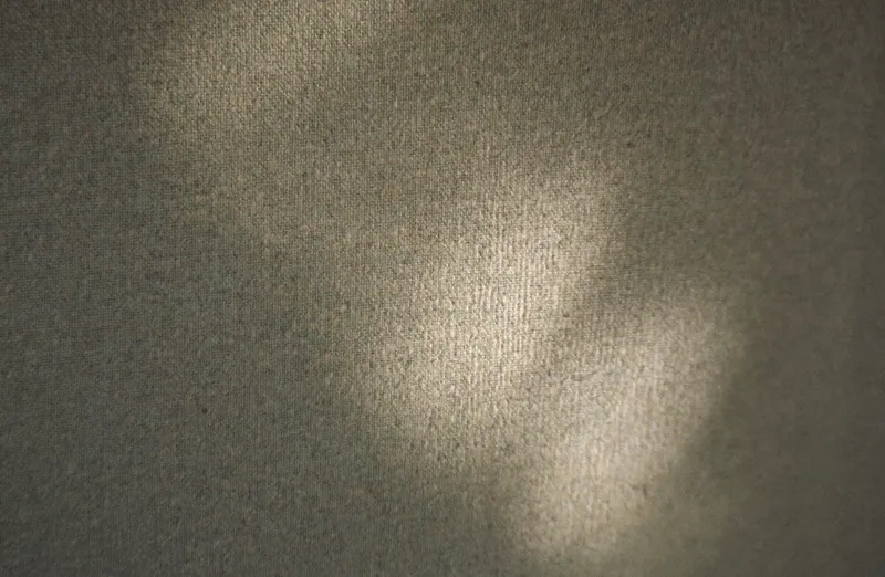 Natural linen canvas texture with raking afternoon sunlight across the weave